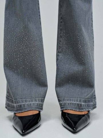 Salsa Jeans Skinny Jeans in Grijs