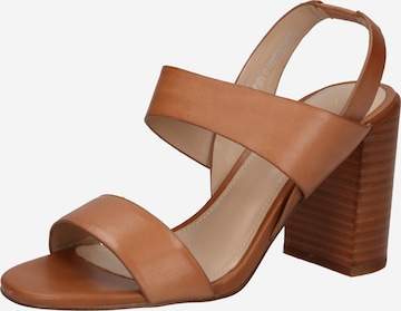 ALDO Remienkové sandále 'GENIPA' - Hnedá: predná strana