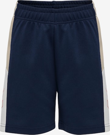 Hummel Regular Workout Pants 'Rane' in Blue: front