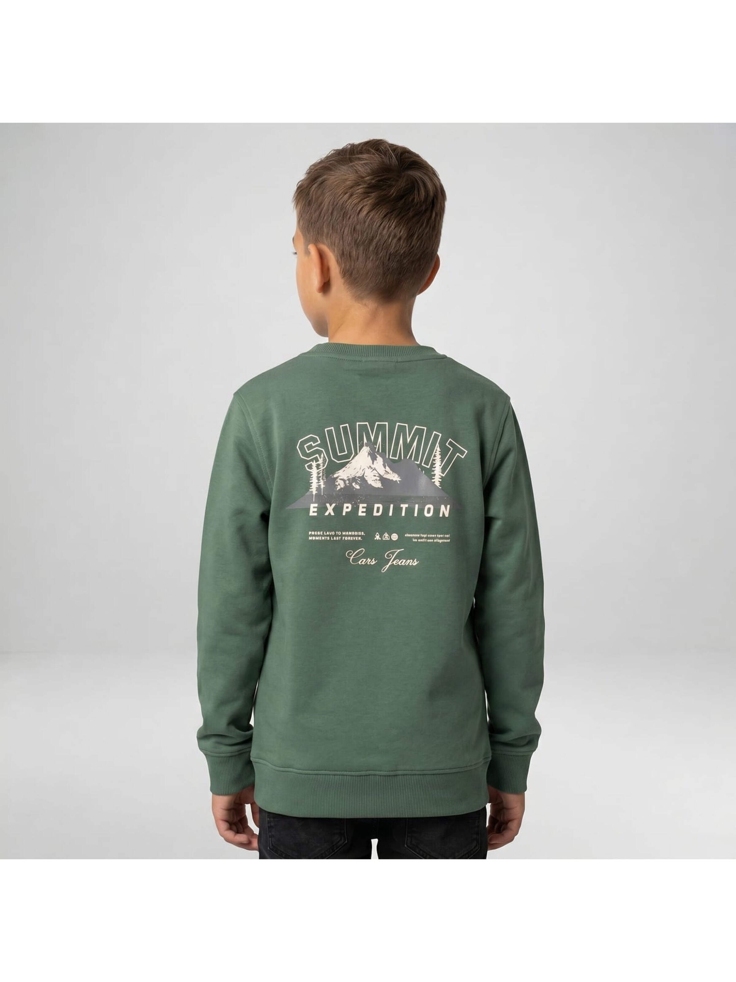 CARS Sweatshirt in Green