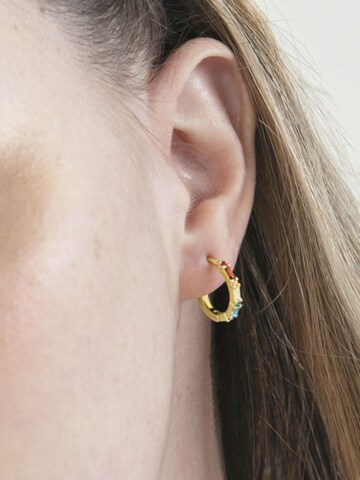 Luxenter Oorbellen 'Hinnar' in Gemengde kleuren