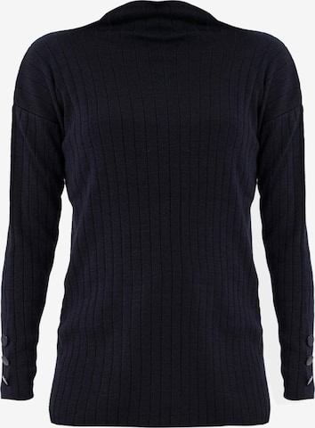 Jimmy Sanders Sweater in Blue: front