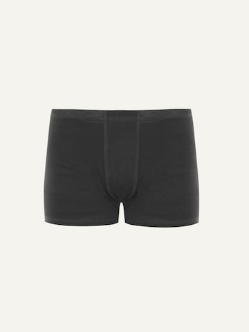 ZUBEK Boxer shorts ''Merino Wool'' in Black: front