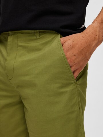 SELECTED HOMME Regularen Chino hlače | zelena barva