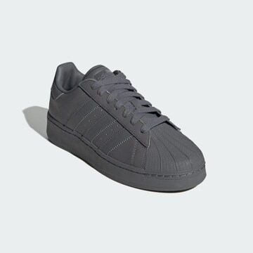 Baskets basses 'Superstar XLG' ADIDAS ORIGINALS en gris