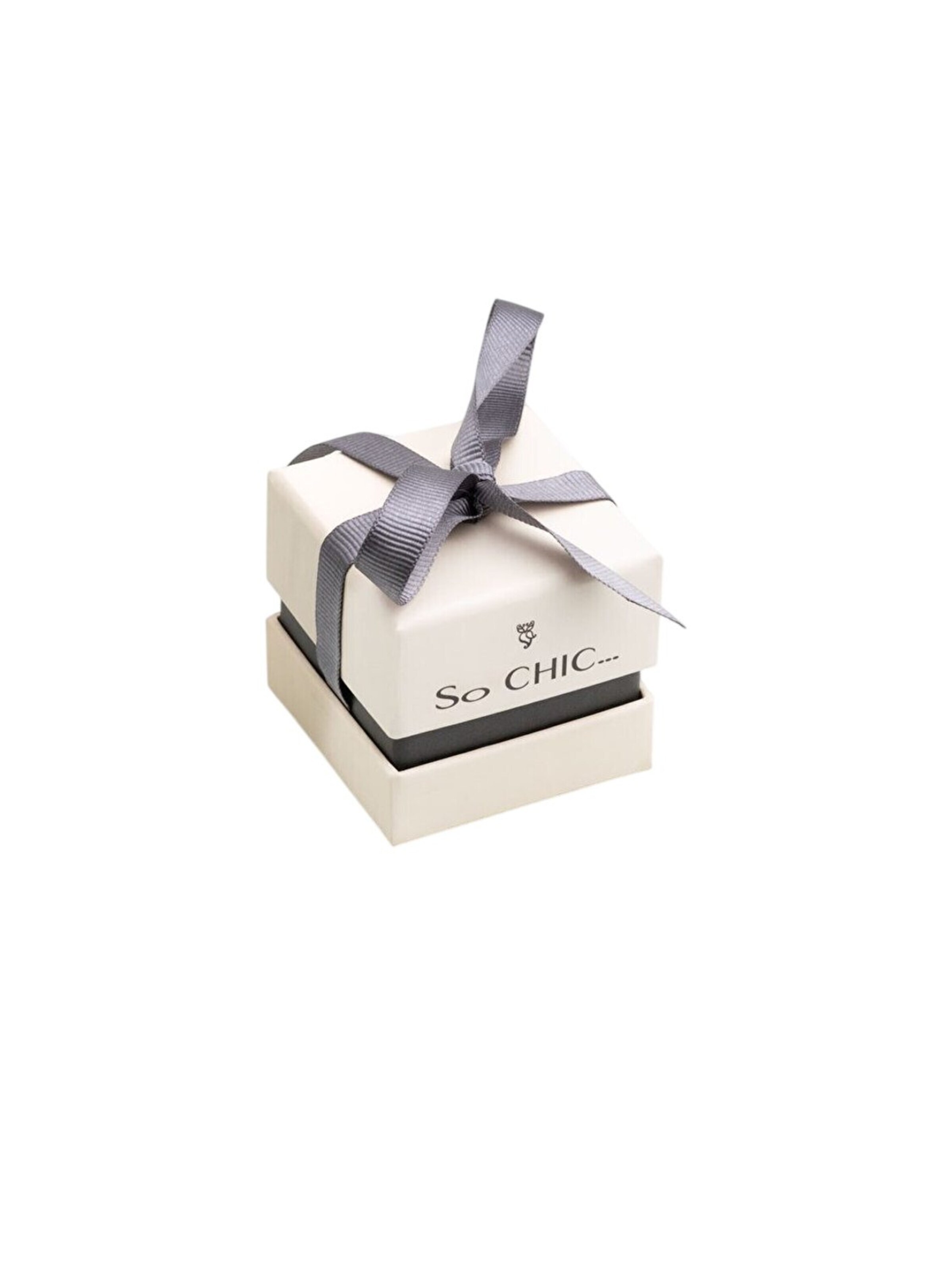 So Chic Earrings in Silver
