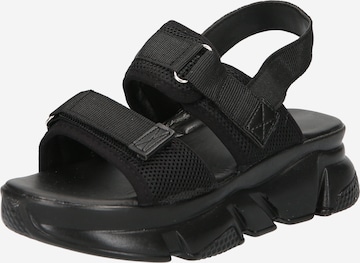 Trendyol Strap Sandals in Black: front