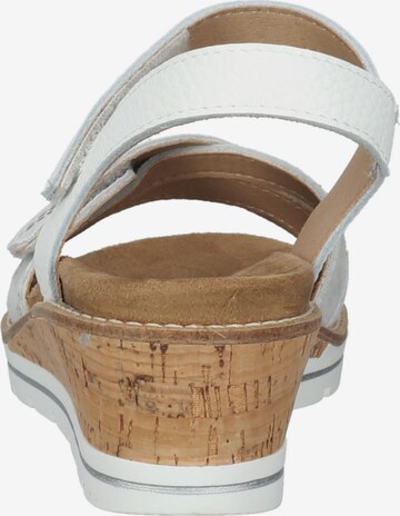 COSMOS COMFORT Sandale in Mischfarben