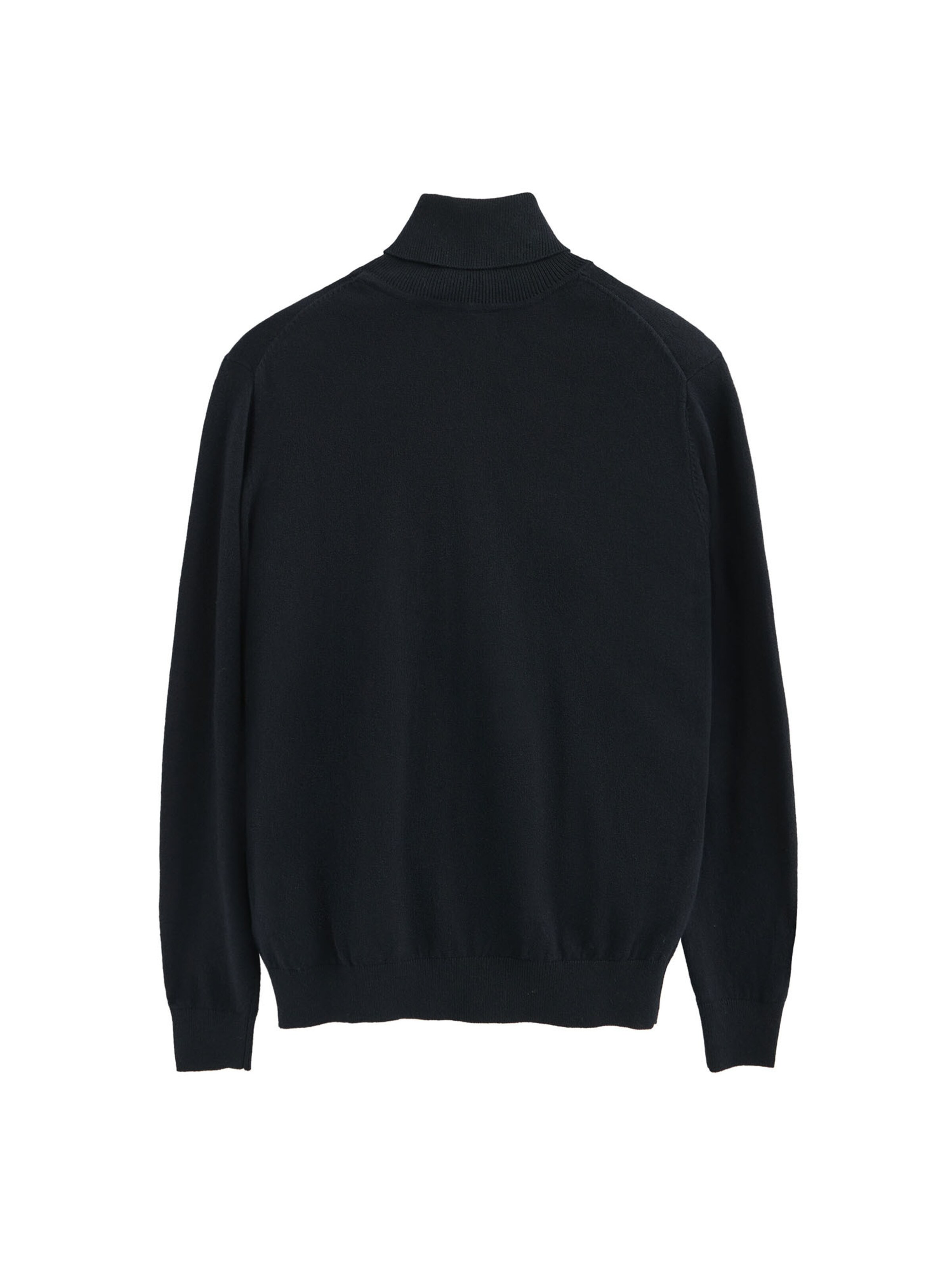 Polo Club Pullover in Blau
