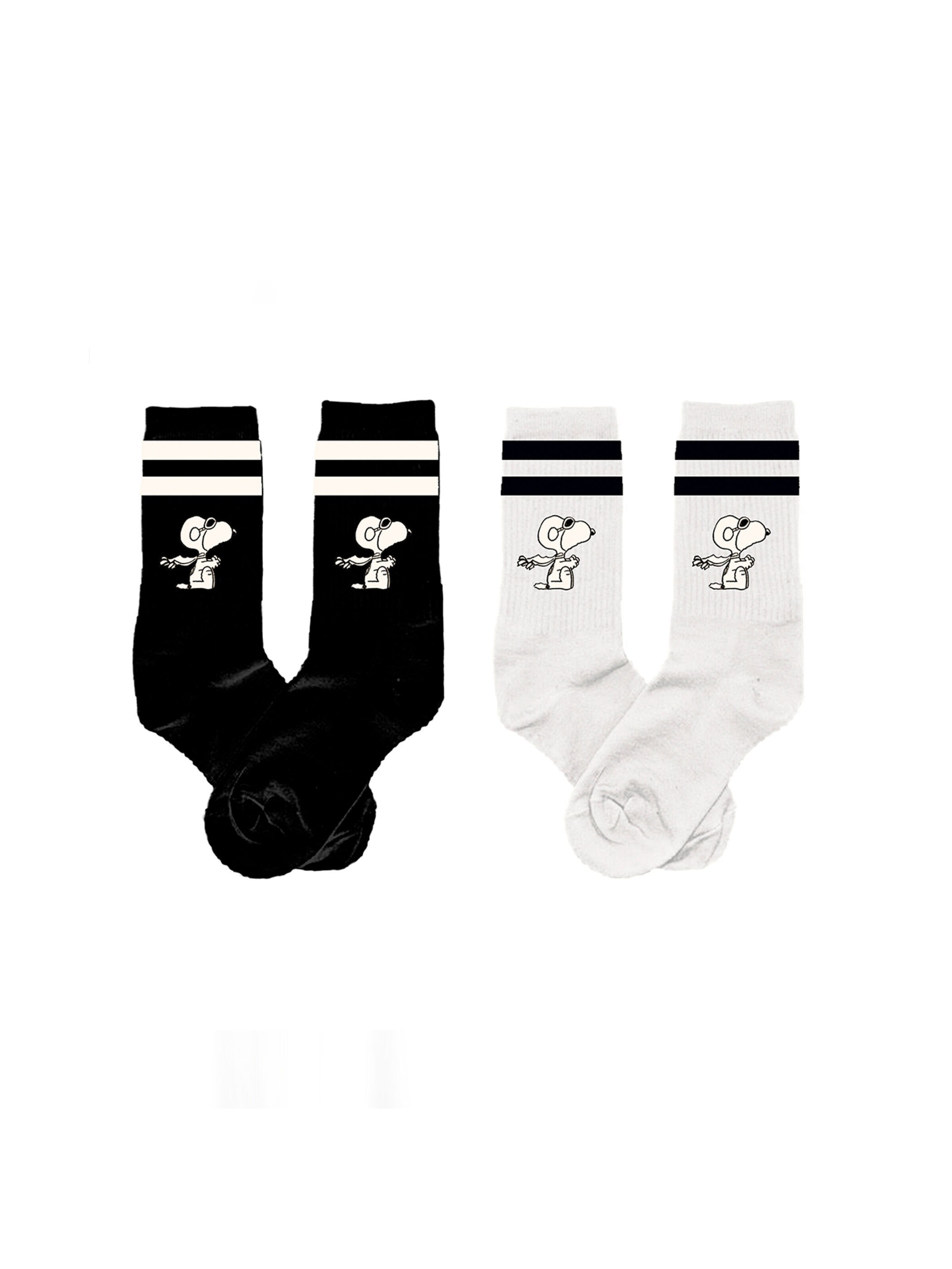 CODELLO Socks in Black