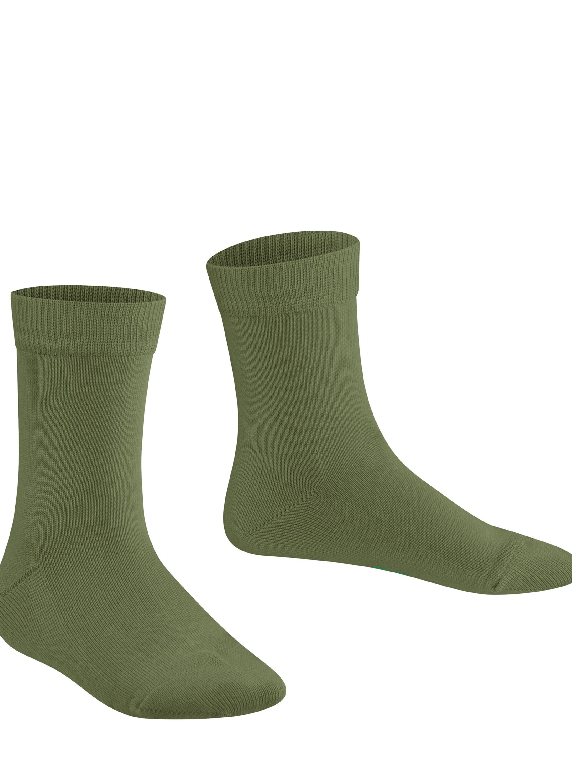 FALKE Socks 'Family' in Green: front