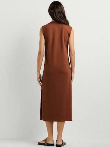Pepe Jeans Kleid in Braun