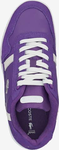 LACOSTE Sneakers in Purple
