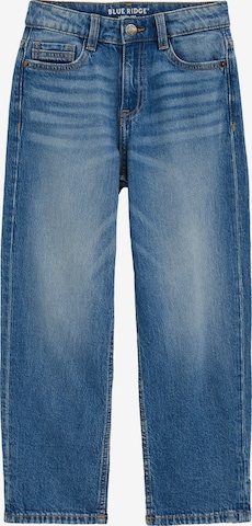 mėlyna WE Fashion Laisvas Džinsai: priekis