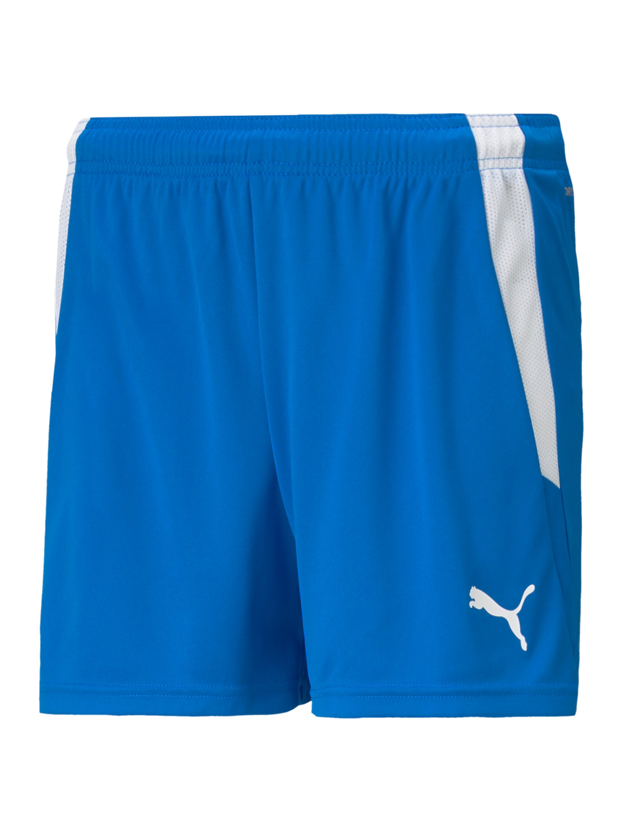 PUMA Workout Pants 'TeamLiga' in Blue: front