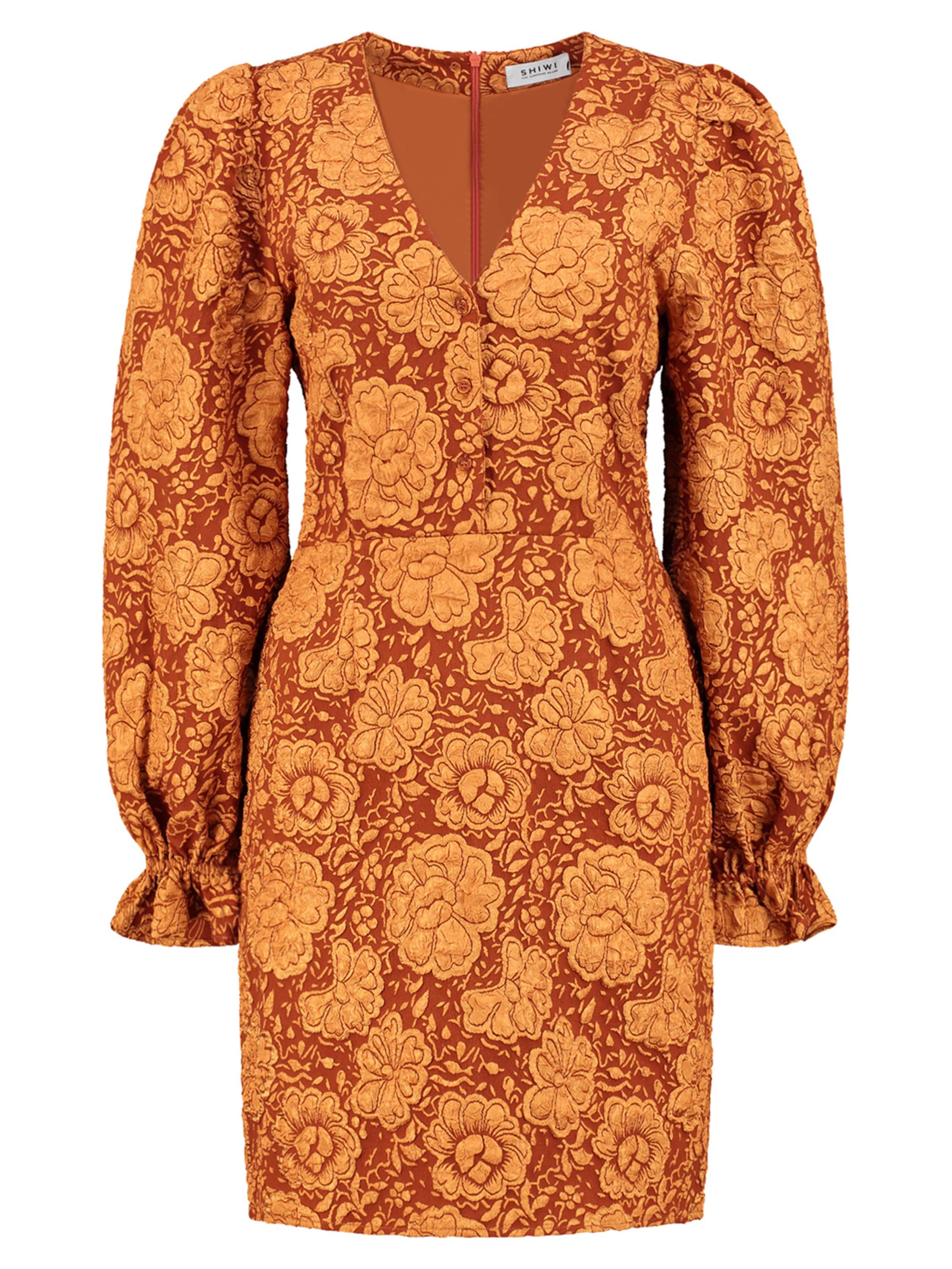 Shiwi Φόρεμα σε καφέ: μπροστά