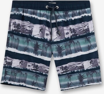 SANETTA Board Shorts in Blue: front