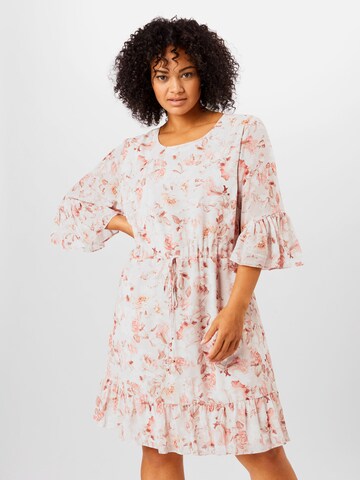 Robe 'MOLLY' Forever New Curve en rose : devant