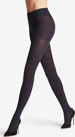 FALKE Tights 'Family' in Blue: front