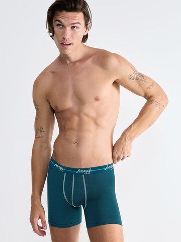 SLOGGI Boxershorts 'Start' in Blauw: voorkant
