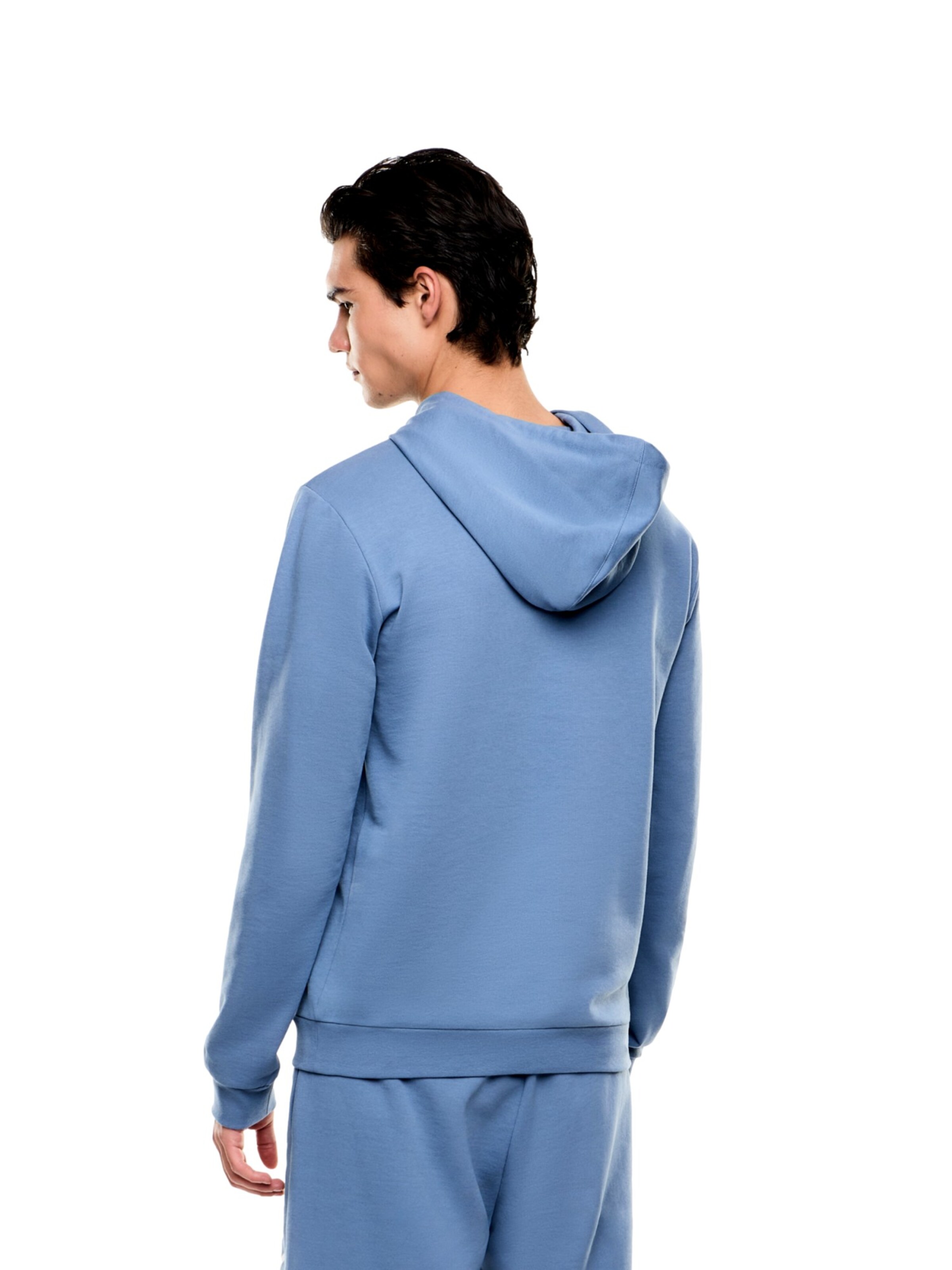 EA7 Emporio Armani Pullover i blå