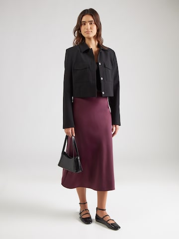 SELECTED Rok 'SLFLENA' in Lila