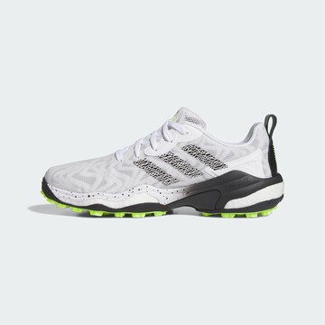 ADIDAS PERFORMANCE Sportschuh 'Codechaos 25' in Weiß