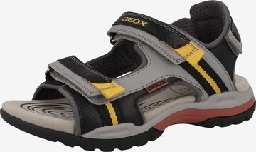 GEOX Sandals & Slippers 'Borealis' in Black: front