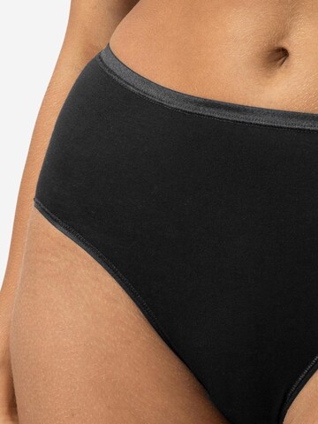 Mey Panty 'Modal Pure' in Brown