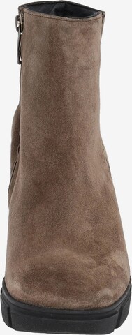 Paul Green Ankle Boots in Brown