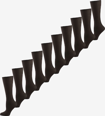 Nur Die Kniestrümpfe in Schwarz: Vorderseite