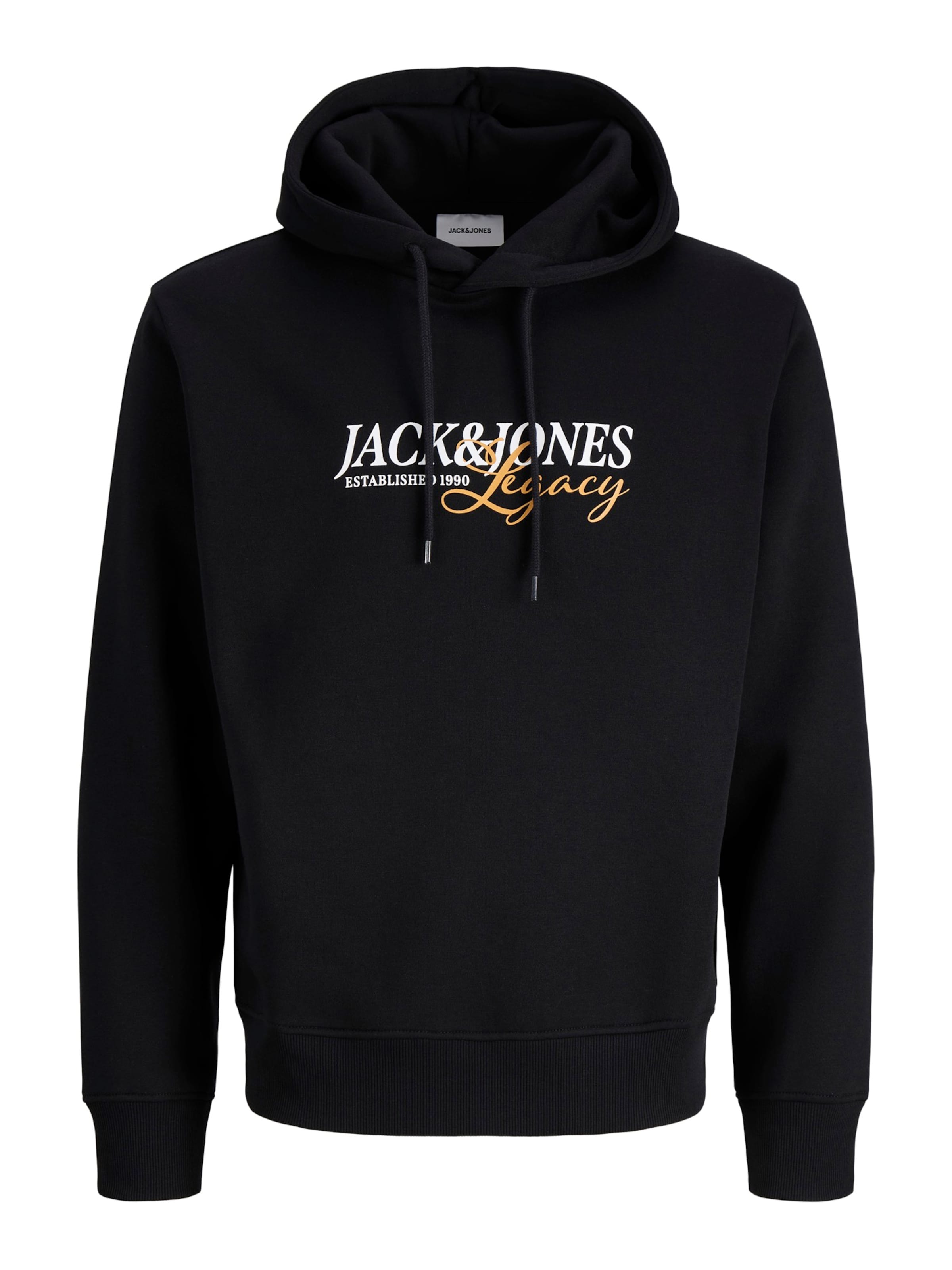 Jack & Jones Plus - Sudadera 'JJJADE' en azul: frente