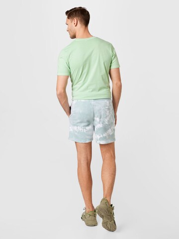 HOLLISTER - regular Pantalón en verde
