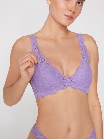 Tezenis Triangle Bra 'Havana' in Purple