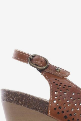 PIKOLINOS Sandals & High-Heeled Sandals in 35 in Brown