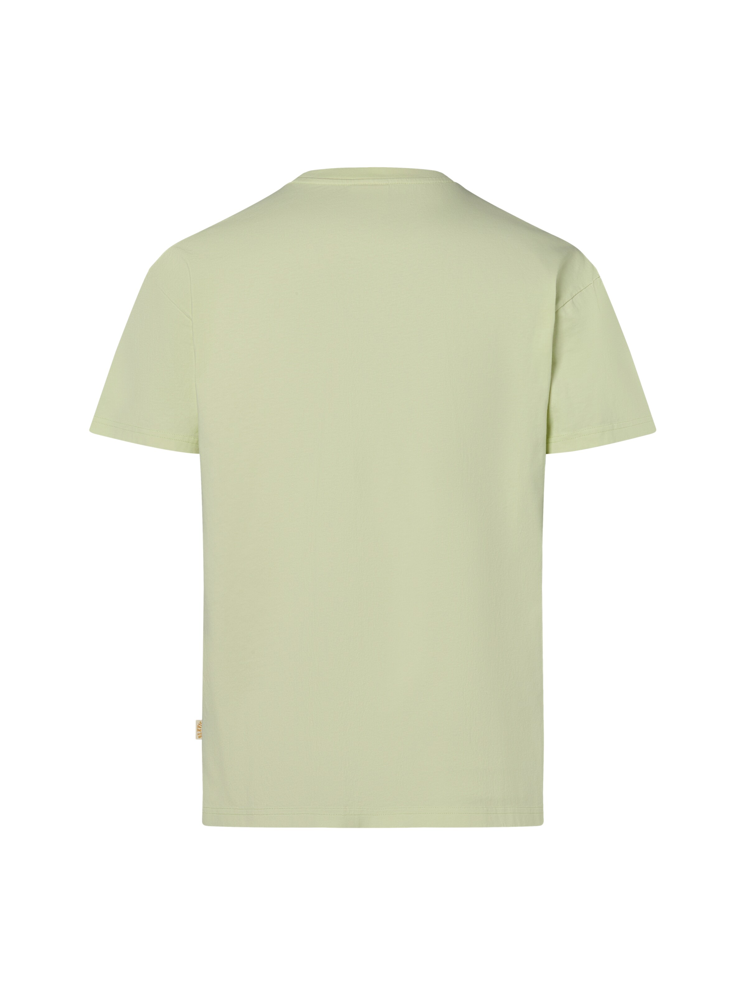 BLKVIS Shirt in Groen