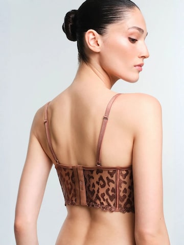 PentiBustier Grudnjak 'BHs & Bralettes' - smeđa boja