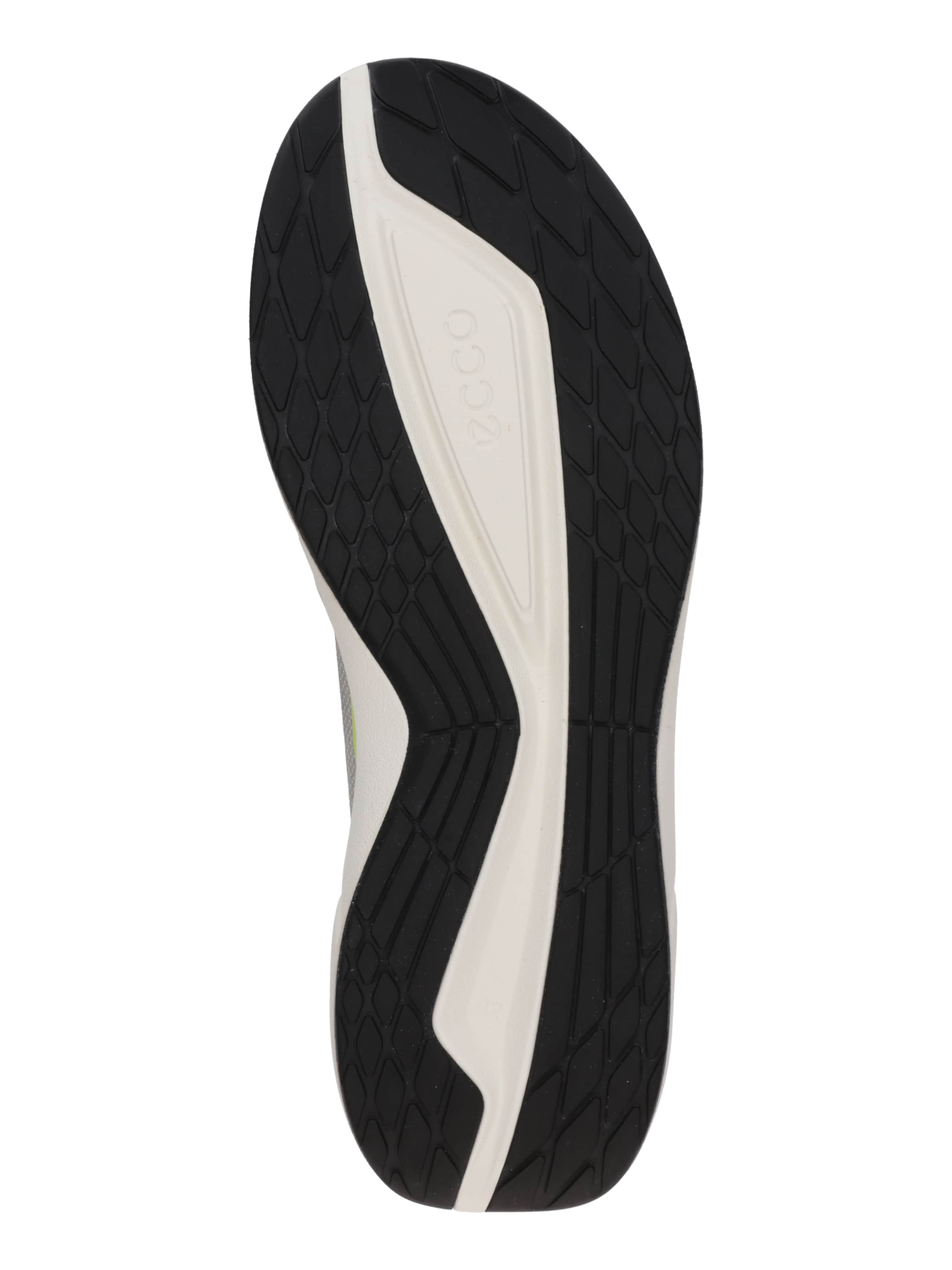 Baskets basses 'Biom 2.2' ECCO en blanc