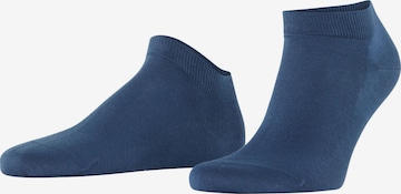FALKE Socken 'Cool 24/7' in Blau: Vorderseite