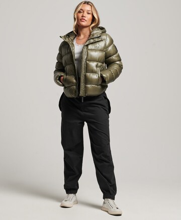 Superdry Winterjas in Groen