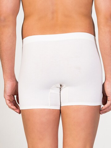 zd ZERO DEFECTS Boxershorts 'Heracles Soya Fly Front Boxer' in Wit