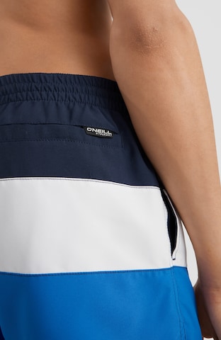 O'NEILL Zwemshorts in Blauw