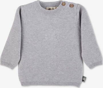 STERNTALER Pullover (GOTS) in Grau: predná strana