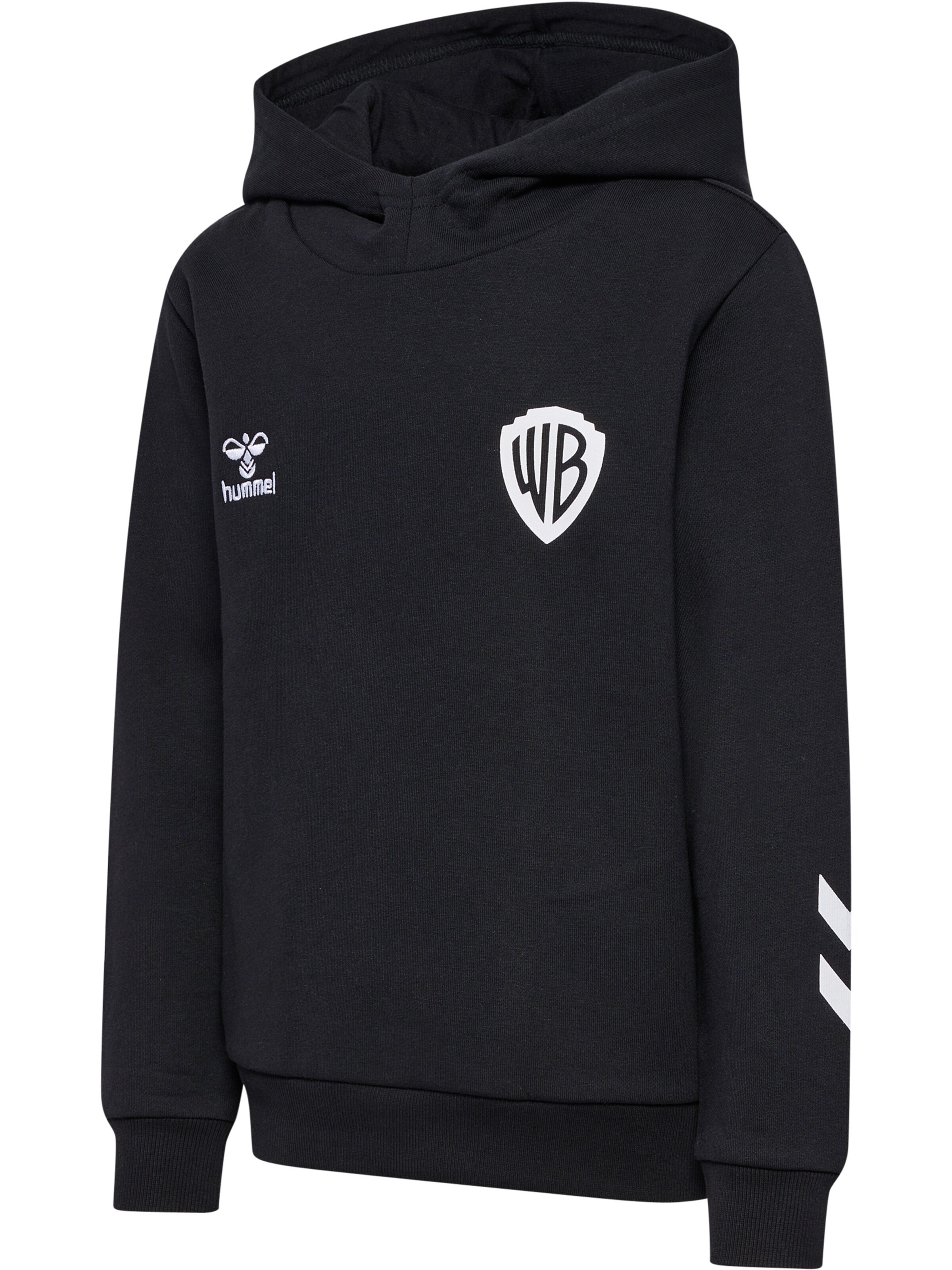 Hummel Sweatshirt 'CELEBRATING STORY ' in Black