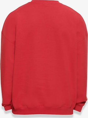 Dropsize Sweatshirt in Red