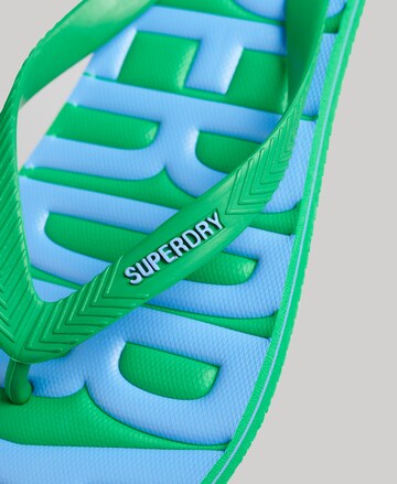 Superdry Teenslippers in Groen