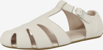Candice Cooper Sandalen met riem ' DANDY T-BAR ' in Wit: voorkant
