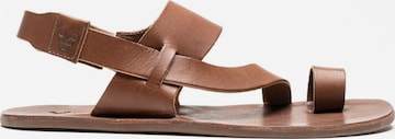 Vivo Barefoot Sandaalit 'OPANKA' värissä ruskea: etupuoli