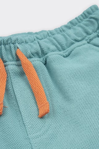 Panço Regular Shorts in Grün