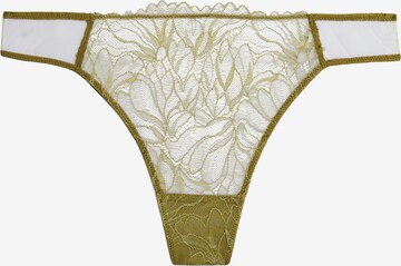 Calvin Klein Underwear String in Groen: voorkant